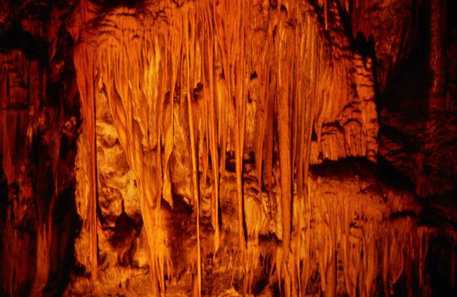 Besuch der Postojna Höhle in Jugoslawien