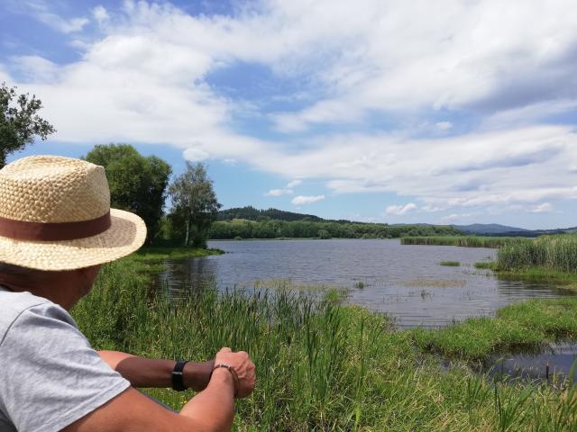 am Lipno-See