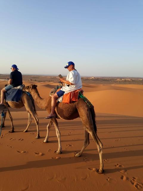 auf Kameltour