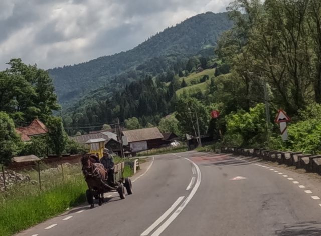 Pferdefuhrwerke auf der Strae