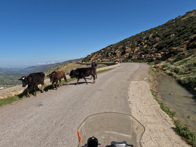Auf der Straße selbst herrschte dagegen reger Mischverkehr:
