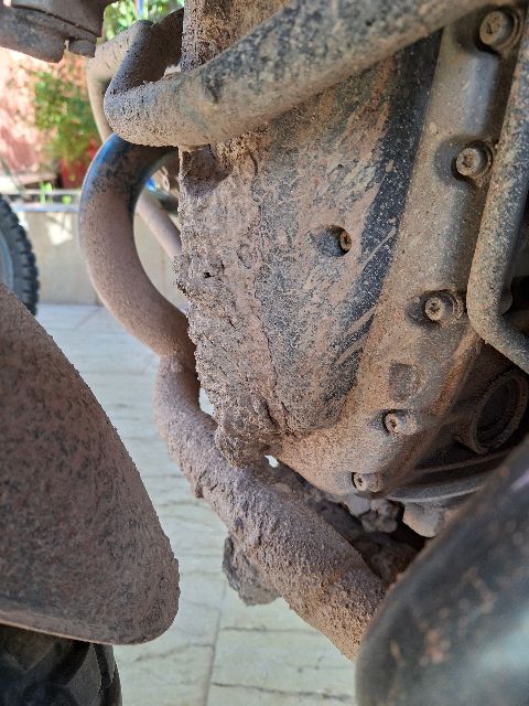 Wann nur wäscht man mich denn auch mal wieder?