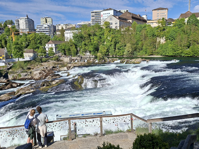 20260426_170544.jpg