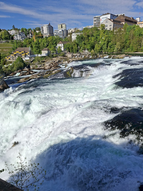 20260426_170709.jpg
