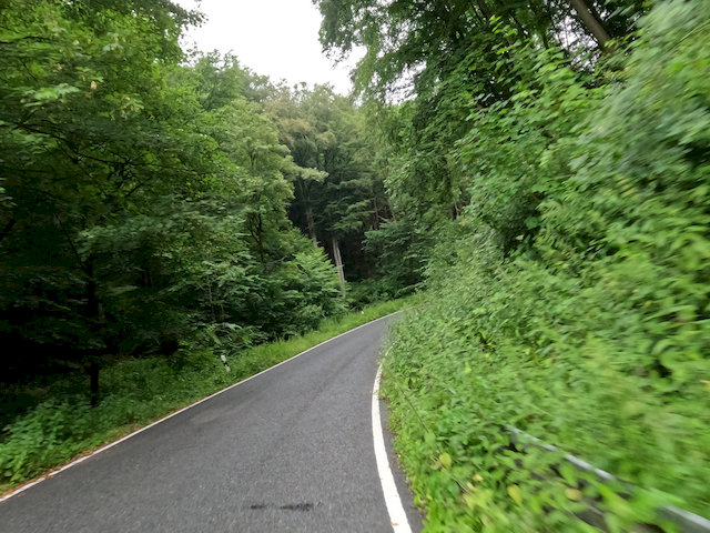 G0085253.JPG