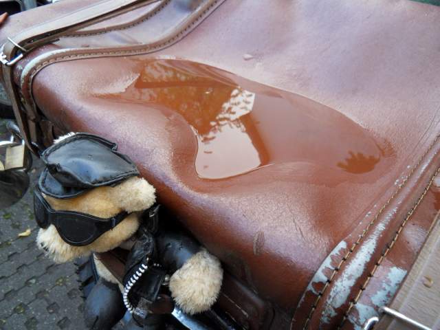 Regen am Sonntag Morgen