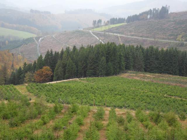 Stopp auf Sauerlands H&ouml;hen
