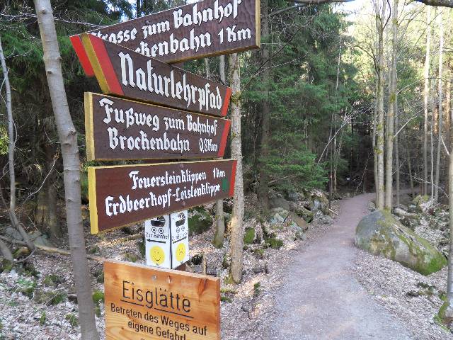 Einige Schneereste liegen noch am Wegrand auf dem Weg nach Schierke.