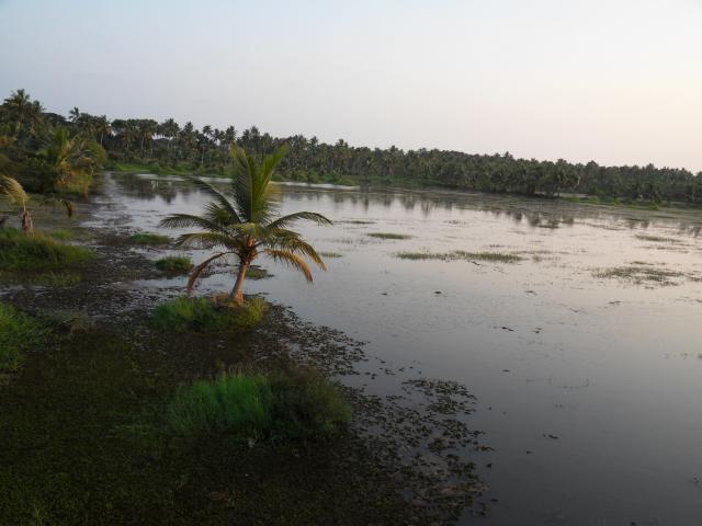 Blick auf einen Teil des Vembanad Lake