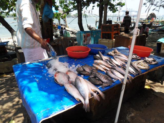 Fischverkäufer am Hafen