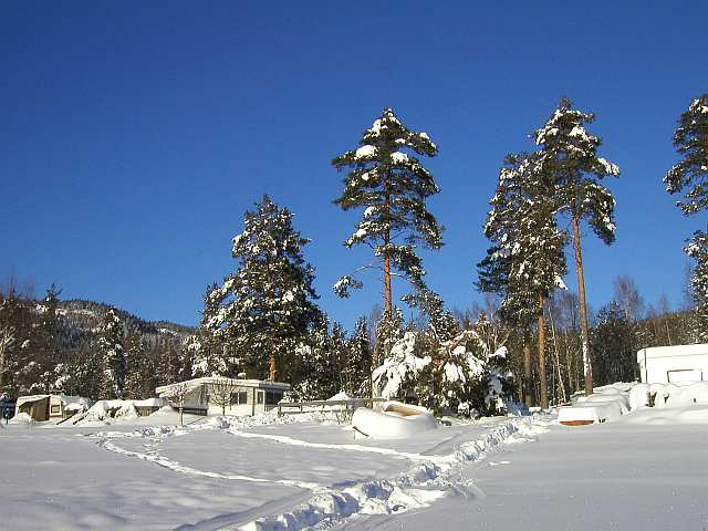 auf dem See