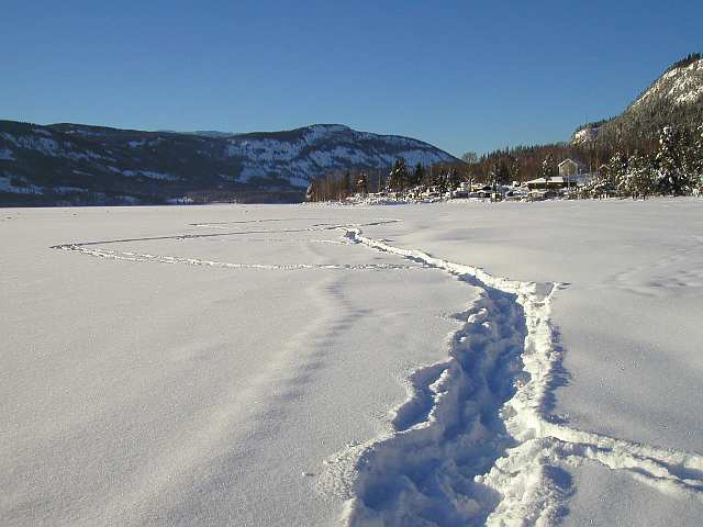 Spuren auf dem See