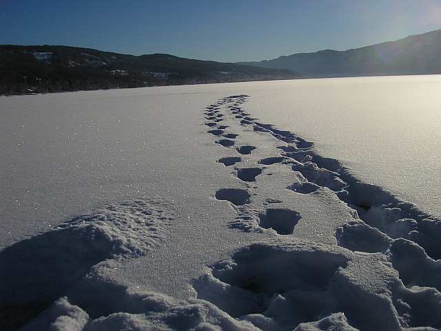 Spuren auf dem See