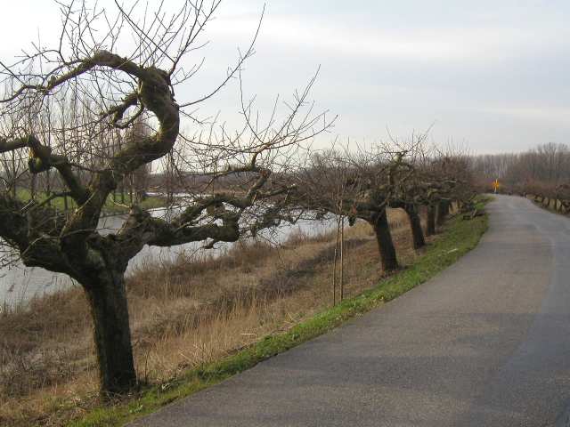 Fahrt über die Deiche