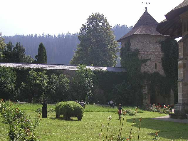 Kloster Moldovita