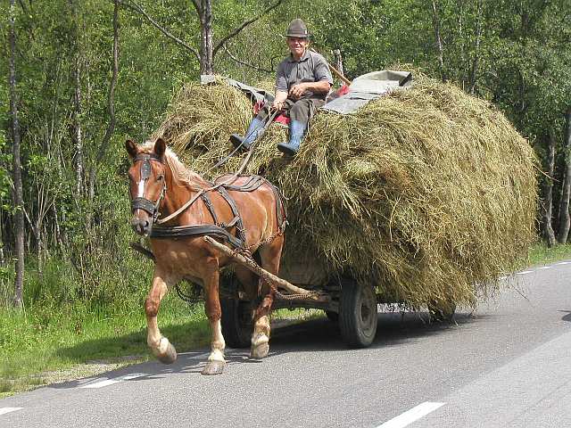 Einfahrt der Heuernte 