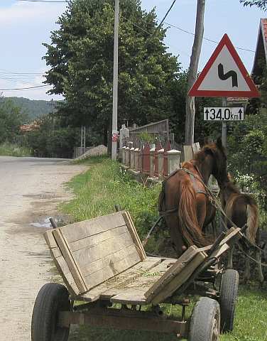 34 km Kurven ab Baia de Arama