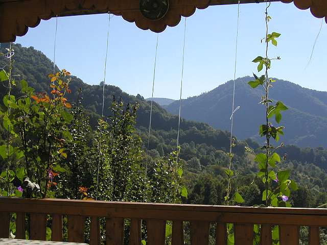 Aussichten von Wittmanns Terrasse aus