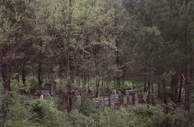 Friedhof am Wegesrand