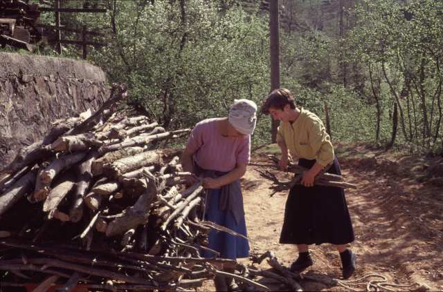 Frauen des Dorfes beim Brennholz-Sammeln