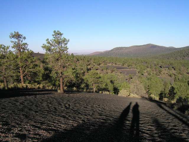 Lavafelder vor dem Sunset Crater, Arizona