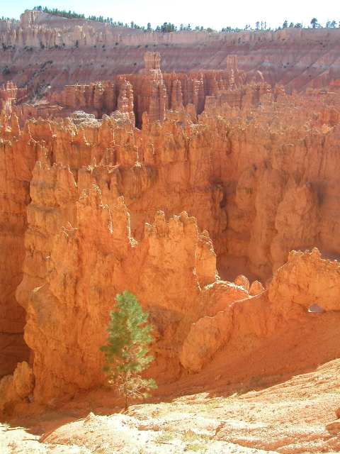 Bryce Canyon