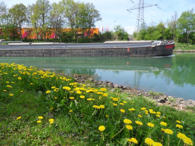 Dortmund-Ems-Kanal in Walltrop