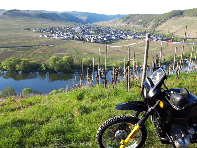 Blick auf die Moselschleife bei Trittenheim
