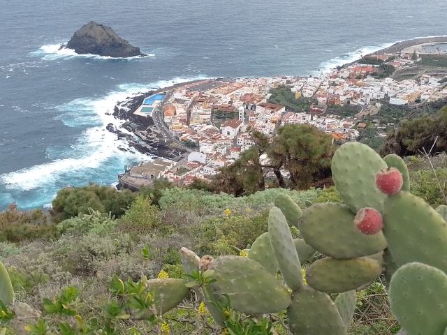 Blick auf Garachico im Norden Teneriffas