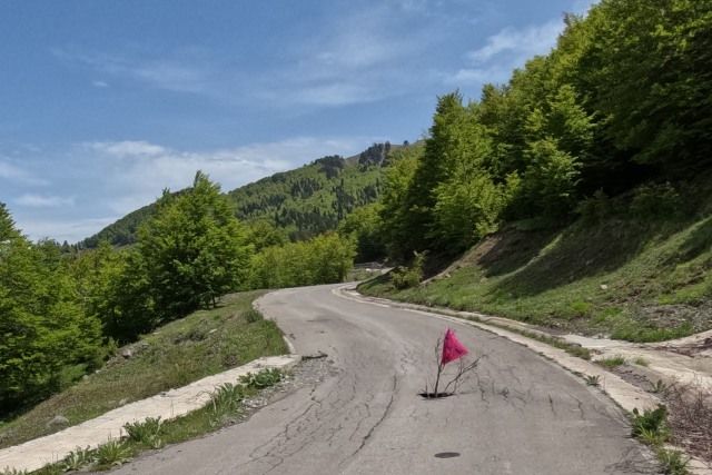Fähnchen in einem tief ausgewaschenen Loch im Asphalt