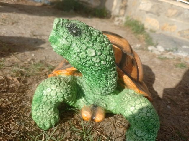 Hier begegnete mir heute schon wieder eine Schildkröte.