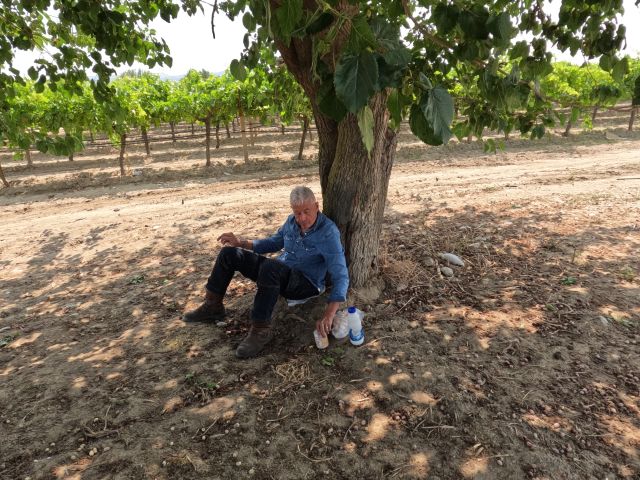 Stärkung im Schatten