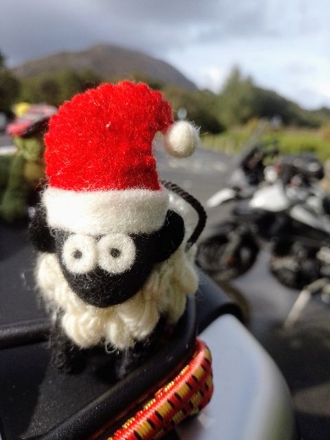 der neue Wegbegleiter von Ivanka und Mike