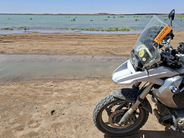 Nachmittags waren wir noch an dem See bei Merzouga, an dem auch viele Flamingos zu sehen sind.