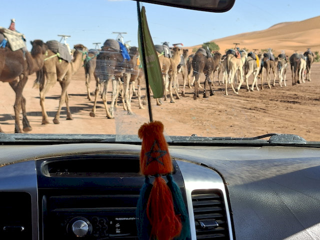Gemeinsam mit dem Betreiber unseres Camps geht es tief hinein in die Wüste. Schon nach kurzer Zeit verschwinden Straßen und Orientierungspunkte – nur noch Sand, Weite und Stille.