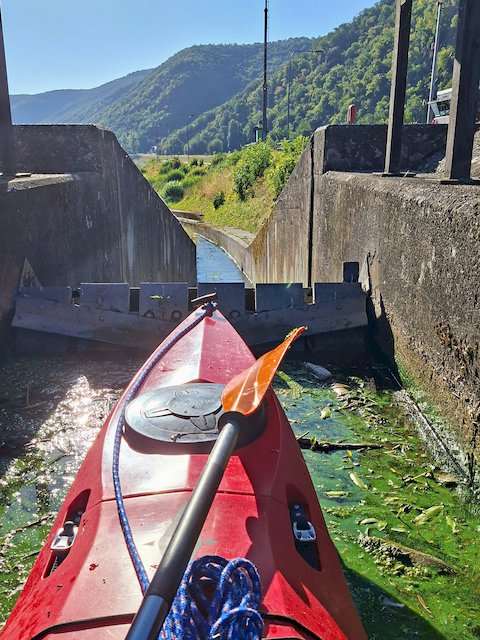 20260729_083800.jpg
