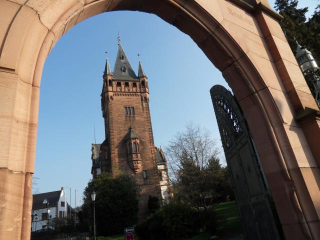 in Wertheim in Mainfranken