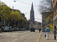 das Freiburger Münster