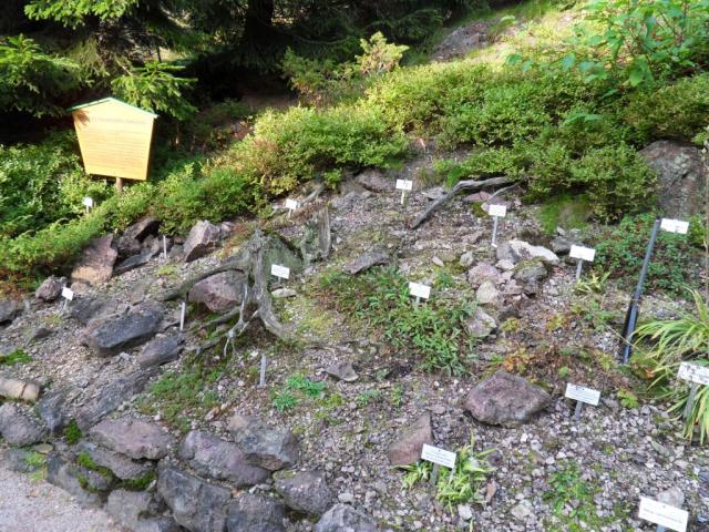 Besuch im Rennsteiggarten bei Oberhof