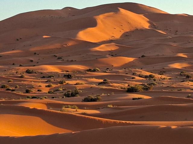 die Sanddünen bei Merzouga im Abendlicht